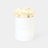 The Forever Rose White | Ivory - LK VERDANT
