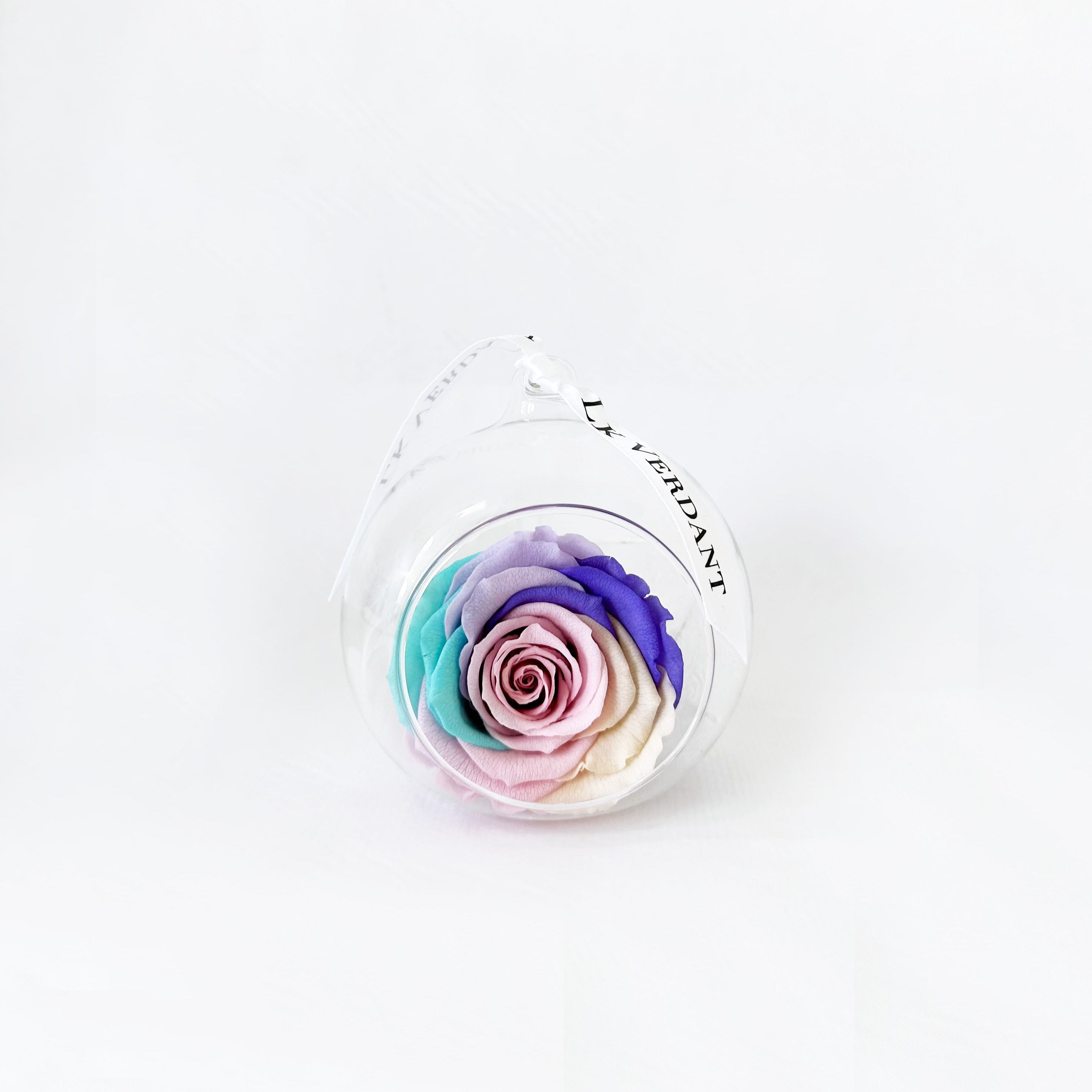 Pastel Rainbow Forever Roses that last a year by LK VERDANT