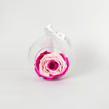 The Always Pink Swirl Forever Rose - Shop for Flowers and Forever Roses - LK VERDANT