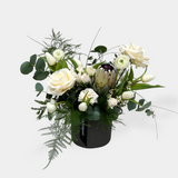 Endearing Love - LK VERDANT