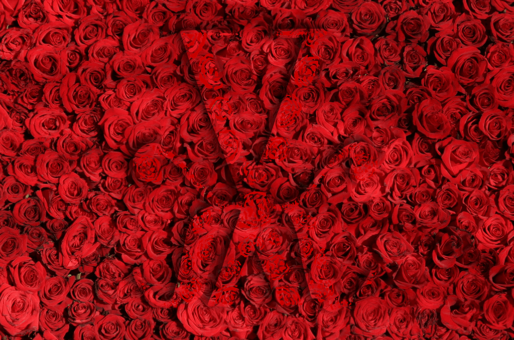 VALENTINE'S DAY-LK VERDANT