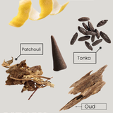 Incense Cones + Glass Holder