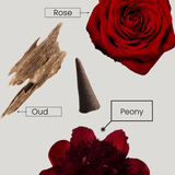 Incense Cones + Glass Holder