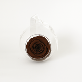 The Always Brown Forever Rose