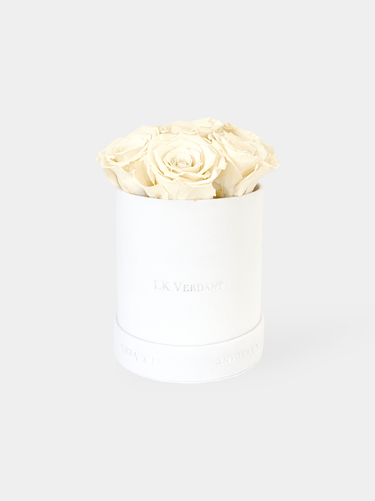 The Forever Rose White | Ivory - LK VERDANT