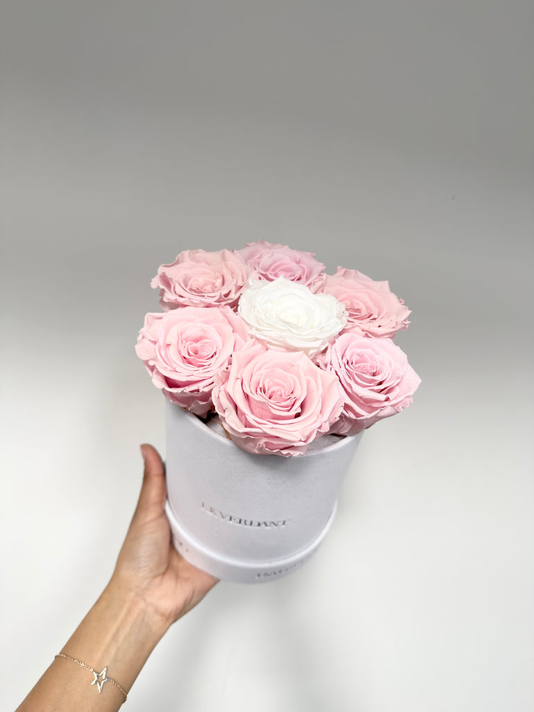 Forever Roses Hatbox - LK VERDANT