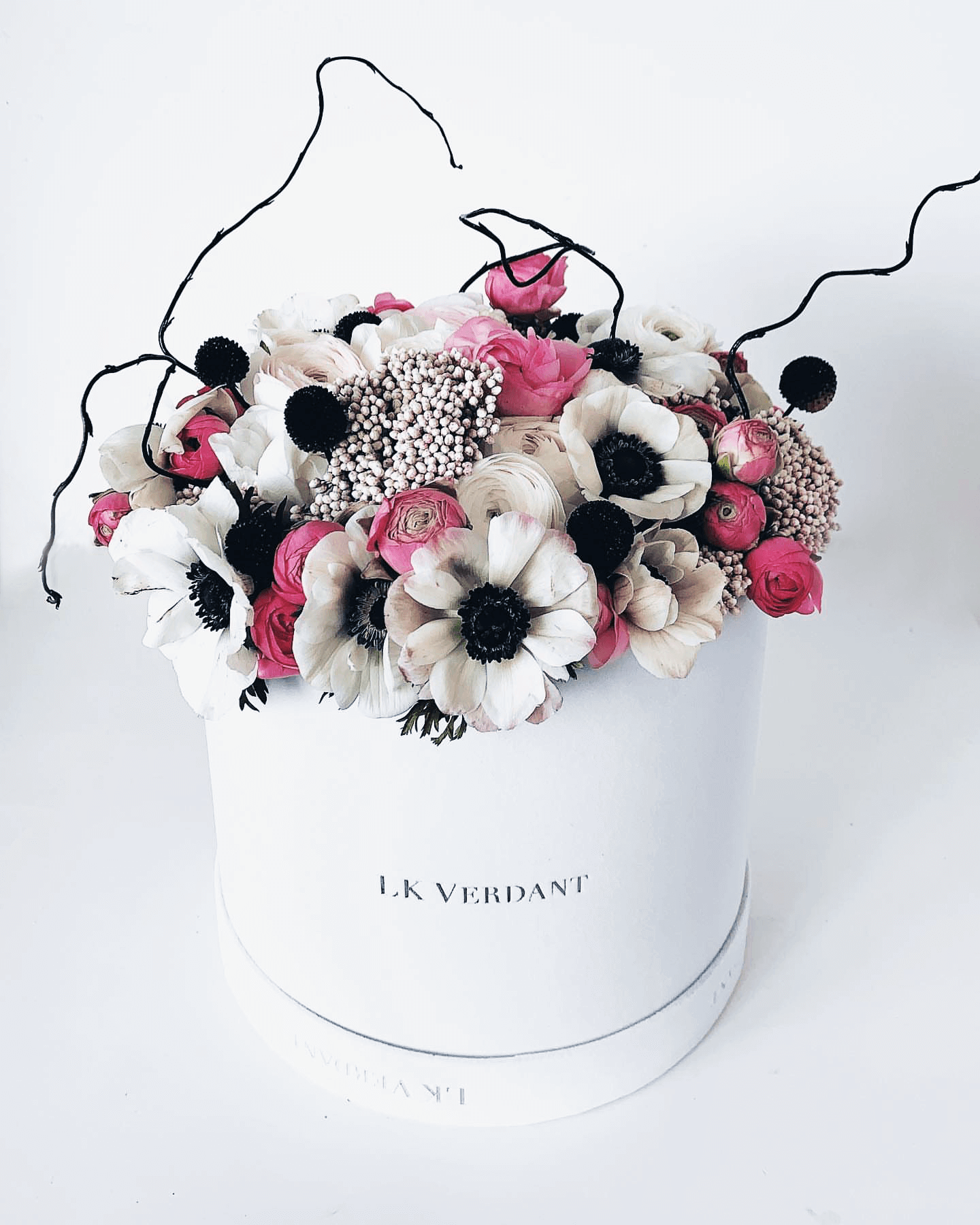 Lk Verdant | Fresh Flowers | Beautiful Flower