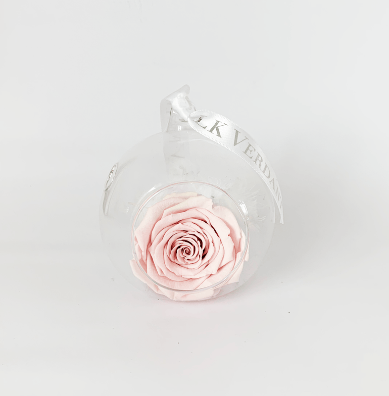 The Always Pink Forever Rose - Shop for Flowers and Forever Roses - LK VERDANT