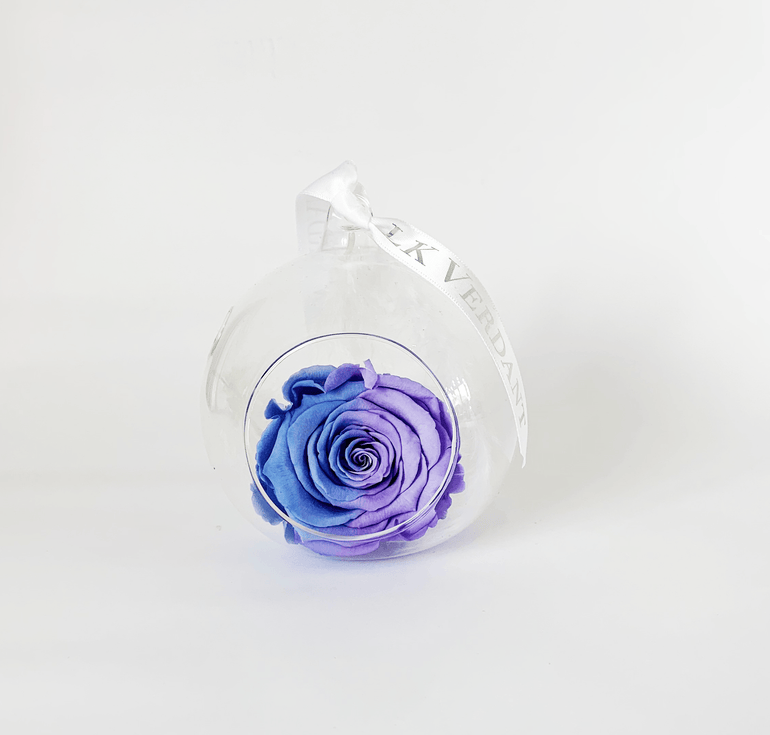 The Always Ombre III Forever Rose - Shop for Flowers and Forever Roses - LK VERDANT