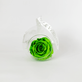 The Always Green Forever Rose - Shop for Flowers and Forever Roses - LK VERDANT
