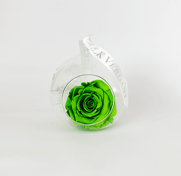 The Always Green Forever Rose - Shop for Flowers and Forever Roses - LK VERDANT