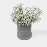 Baby's Breath Hatbox Flowers - LK VERDANT
