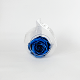 The Always Metallic Blue Forever Rose - Shop for Flowers and Forever Roses - LK VERDANT