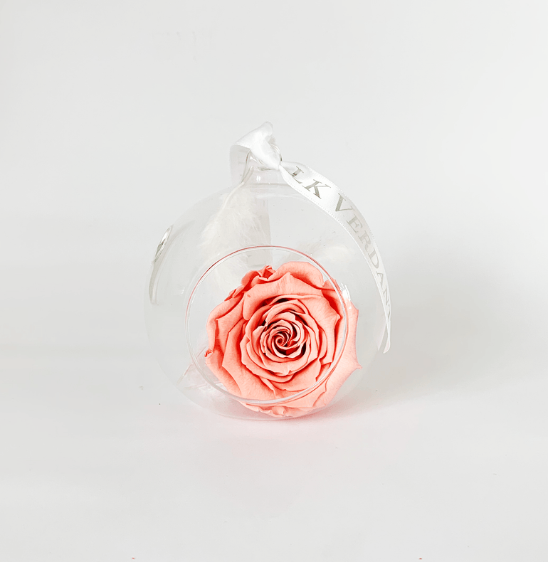 The Always Coral Rose Forever Rose - Shop for Flowers and Forever Roses - LK VERDANT