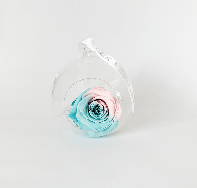 The Always Ombre Forever Rose - Shop for Flowers and Forever Roses - LK VERDANT