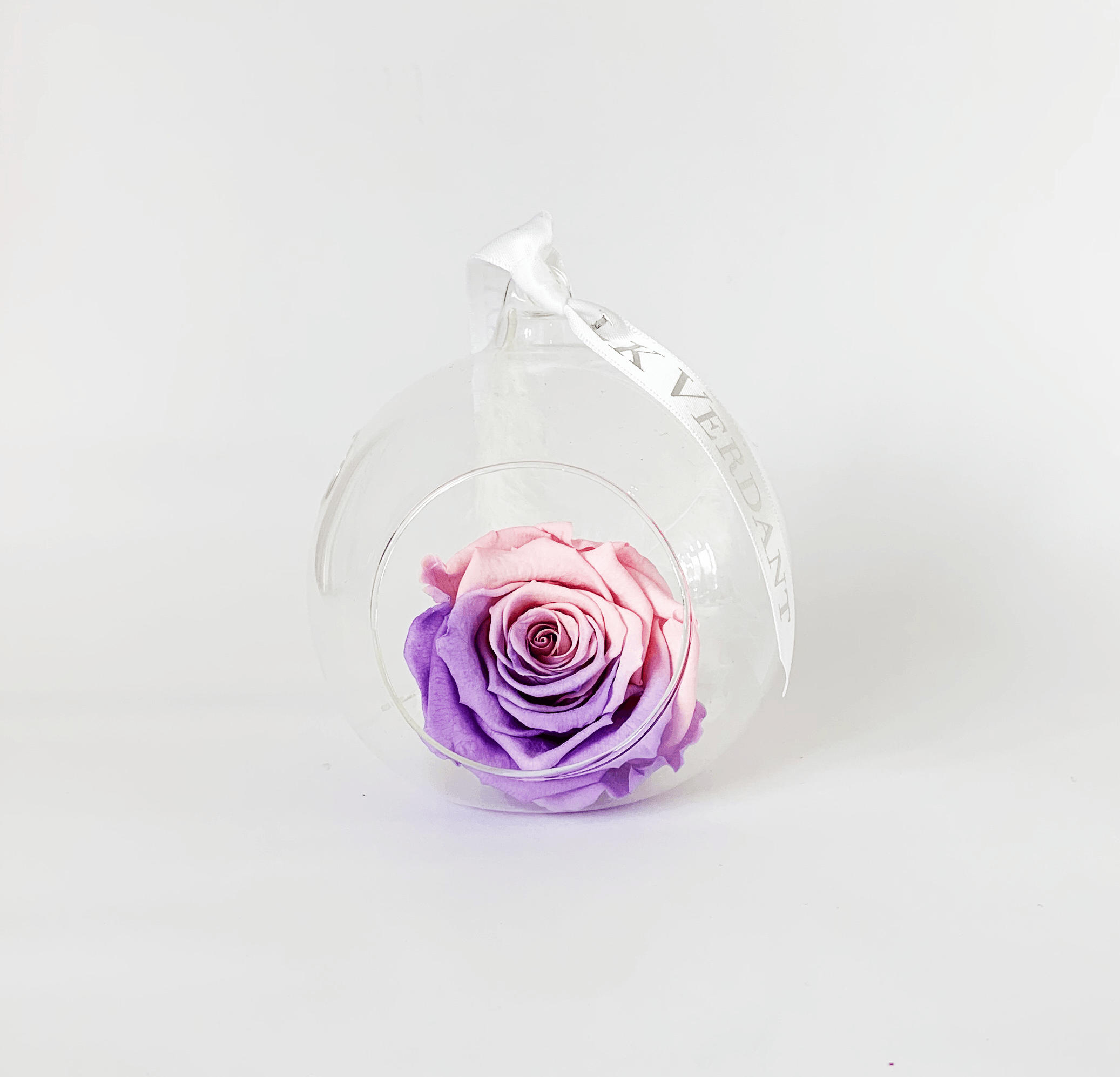 The Always Ombre II Forever Rose - Shop for Flowers and Forever Roses - LK VERDANT