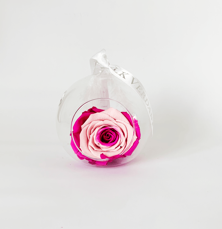 The Always Pink Swirl Forever Rose - Shop for Flowers and Forever Roses - LK VERDANT