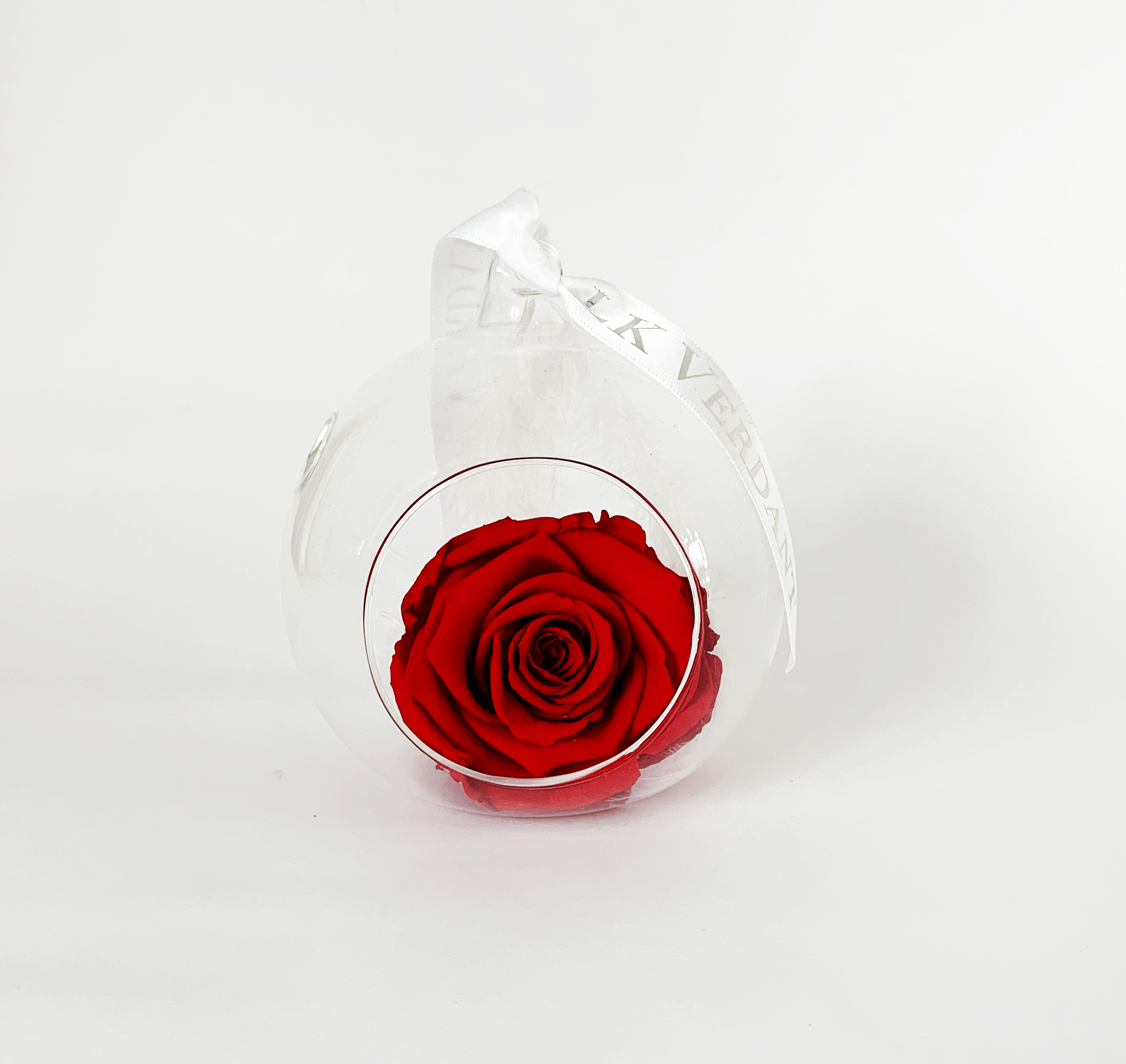 The Always Red Forever Rose - Shop for Flowers and Forever Roses - LK VERDANT