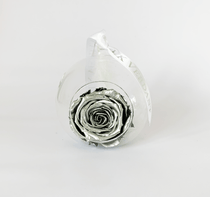 The Always Silver Forever Rose - Shop for Flowers and Forever Roses - LK VERDANT